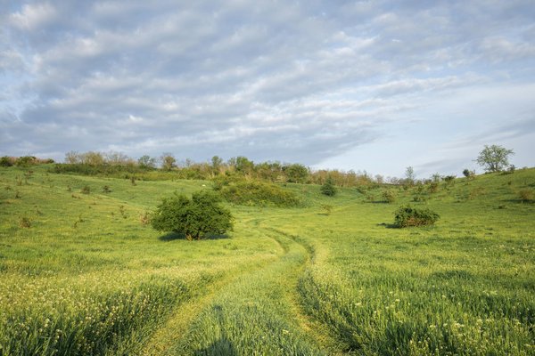 Wie kÃ¶nnen Reisende ihre CO2-Bilanz minimieren?